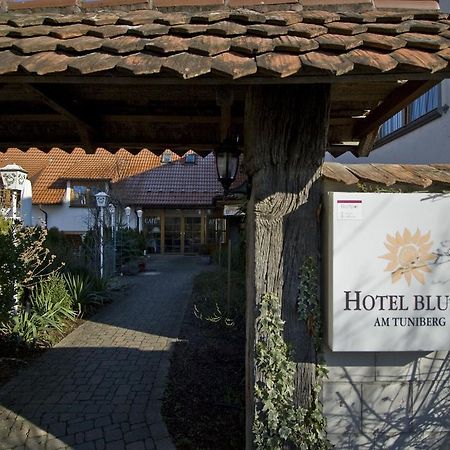 פרייבורג Hotel Blume מראה חיצוני תמונה