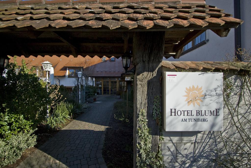 פרייבורג Hotel Blume מראה חיצוני תמונה
