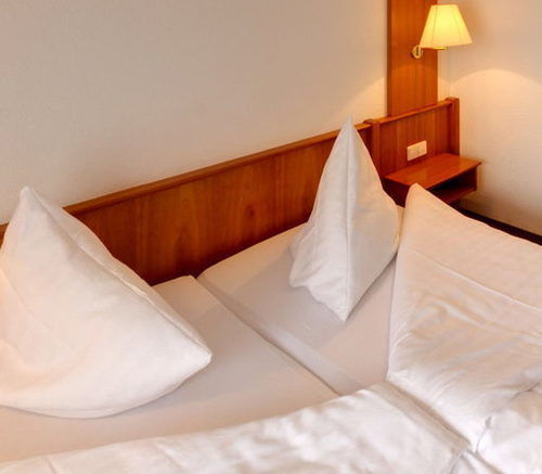 פרייבורג Hotel Blume מראה חיצוני תמונה
